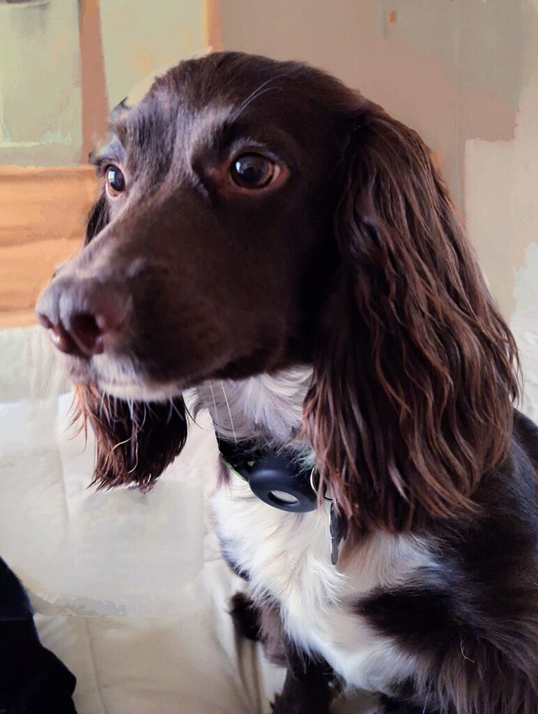 Zoey22
